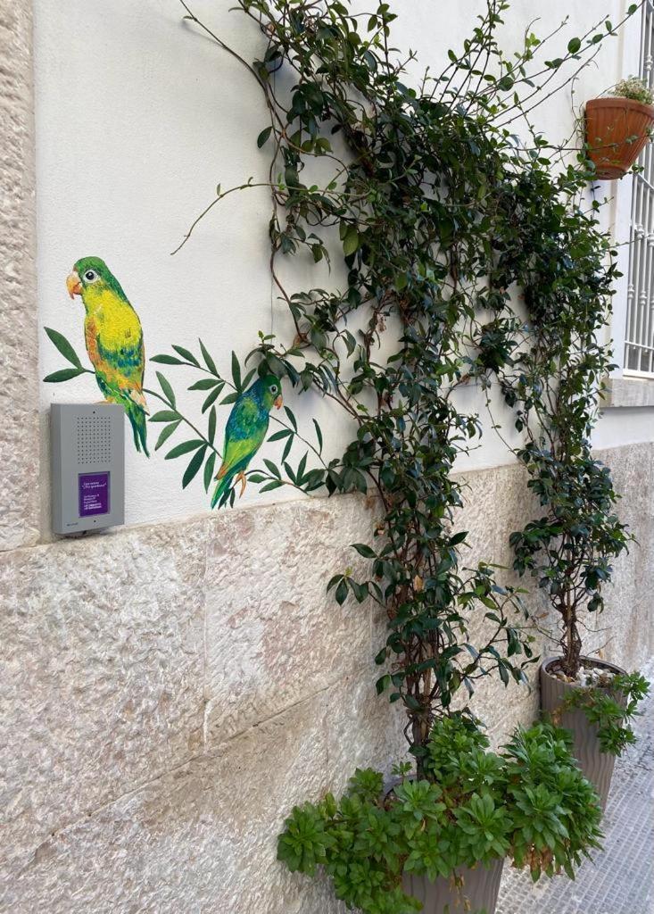 Iris Apartment Bisceglie Exterior foto